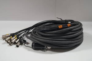 RF Output Cable - 4x Whirlwind to MXLR Splay