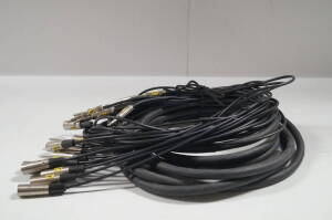 25' 12-Channel Return Multicable - XLRM to 1/4"