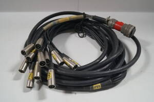 25' 12-Channel Record Tail Veam-MXLR Multicable