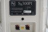 Electro-Voice SX300PI Full Range Main Speakers WHITE - 3