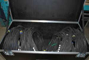 Lot 2Pic 100' NL8 Cable (4)