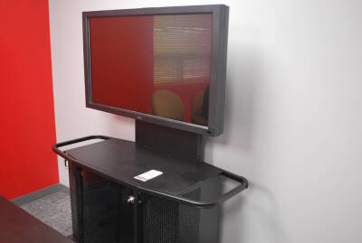 NEC 46" LCD TV and VFI TV Stand
